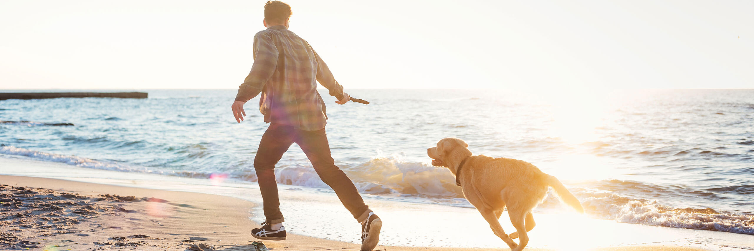 Urlaub mit Hund an der Nordsee in Cuxhaven Berger Touristik